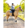 Tapis Close Contact Square SS26 - LeMieux