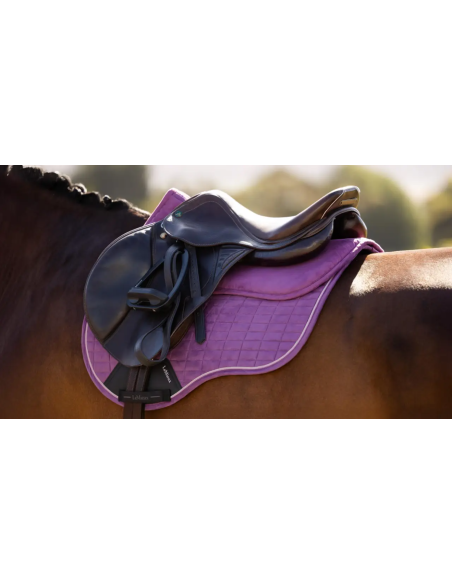 Amortisseur Suede Square Mixte - LeMieux