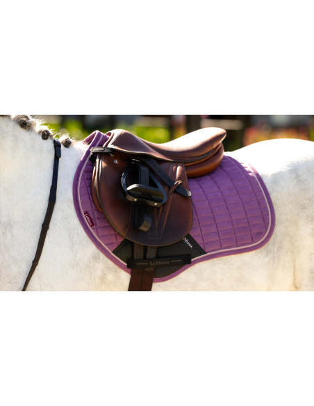 Tapis Mini Suede Close Contact SS26 - LeMieux