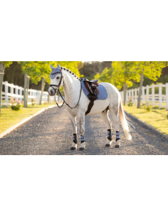 Tapis Mini Suede Close Contact SS26 - LeMieux 2