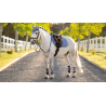 Tapis Mini Suede Close Contact SS26 - LeMieux