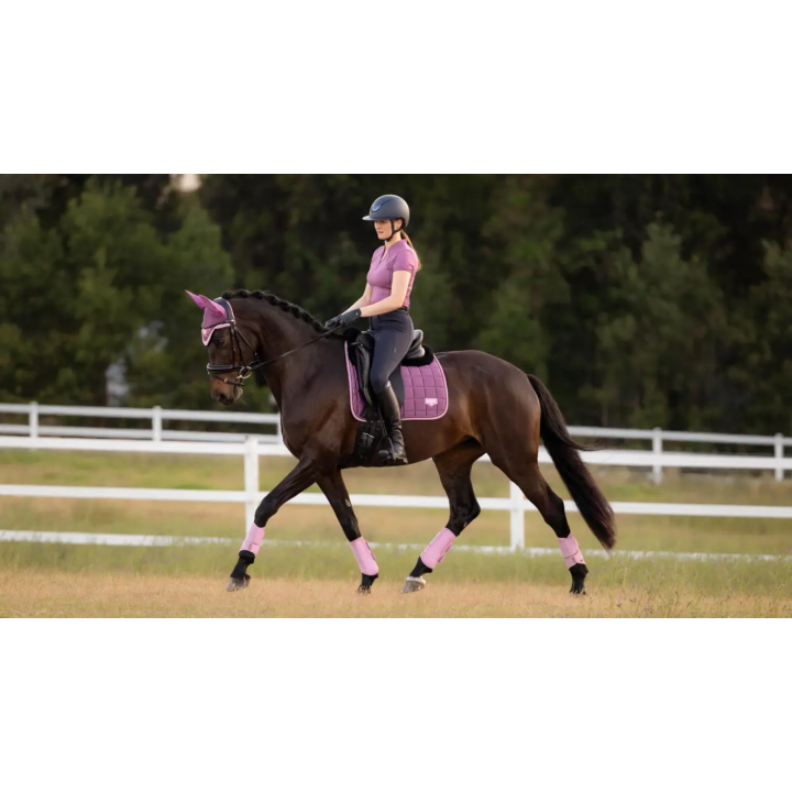Tapis Loire Classic Dressage Square SS26 - LeMieux