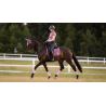 Tapis Loire Classic Dressage Square SS26 - LeMieux