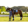 Tapis Loire Classic Dressage Square SS26 - LeMieux