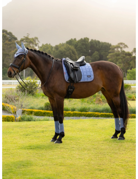 Tapis Loire Classic Dressage Square SS26 - LeMieux