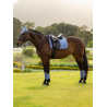 Tapis Loire Classic Dressage Square SS26 - LeMieux