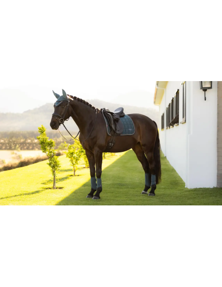 Tapis Loire Classic Dressage Square SS26 - LeMieux