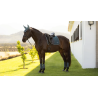 Tapis Loire Classic Dressage Square SS26 - LeMieux