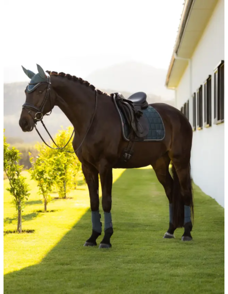 Tapis Loire Classic Dressage Square SS26 - LeMieux