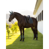 Tapis Loire Classic Dressage Square SS26 - LeMieux