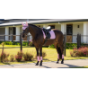 Tapis Essence Dressage Square - LeMieux