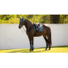 Tapis Essence Dressage Square - LeMieux