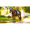 Tapis Essence Dressage Square - LeMieux