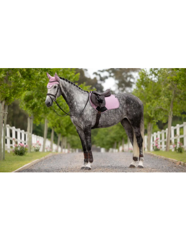 Tapis Essence Close Contact Square SS26 - LeMieux