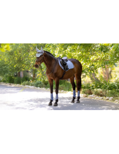 Tapis Essence Close Contact Square SS26 - LeMieux 2