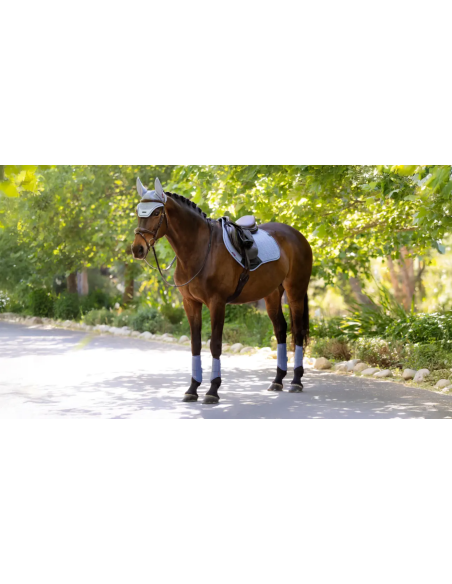 Tapis Essence Close Contact Square SS26 - LeMieux