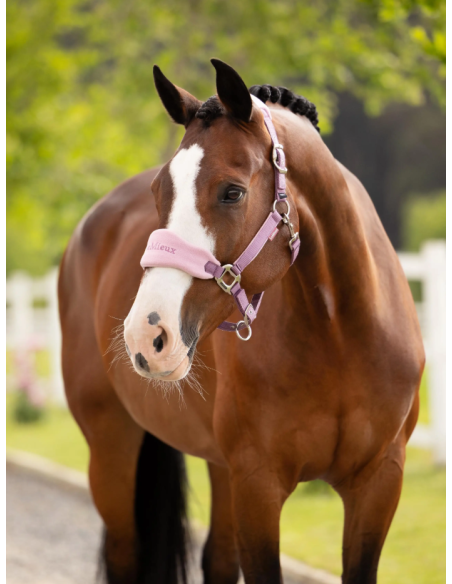 Licol et Longe Vogue SS26 - LeMieux