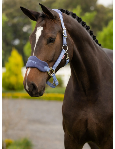 Licol et Longe Vogue SS26 - LeMieux