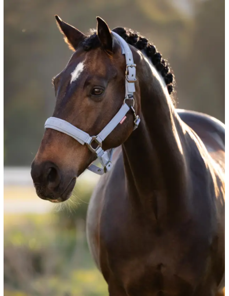 Licol Essence SS26 - LeMieux