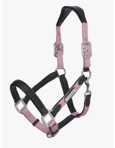 Licol Capella SS26 - LeMieux