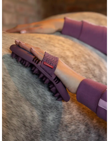 Brosse Flexi Massage - LeMieux