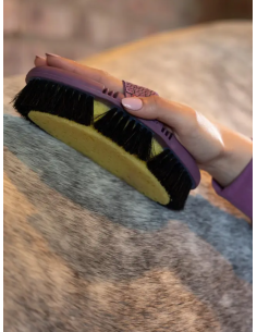 Brosse Flexi Eponge - LeMieux 2