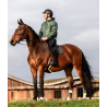 Tapis de Selle Mixte Ergonomique - Horse Pilot