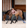 Pantalon Femme X-Perform Iconic - Horse Pilot