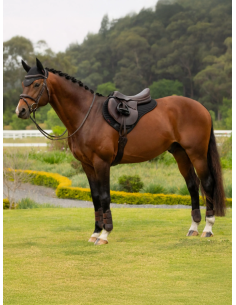 Tapis Air-Tek Mesh Half Square SS26 - LeMieux 2