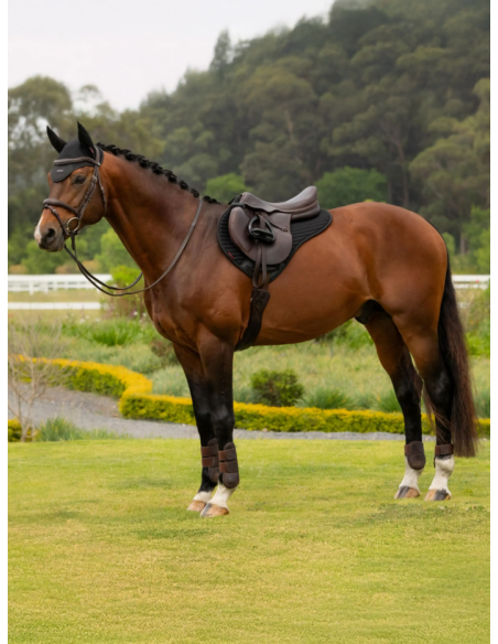 Tapis Air-Tek Mesh Half Square SS26 - LeMieux