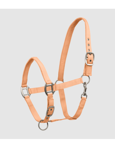 Licol Satin - Waldhausen