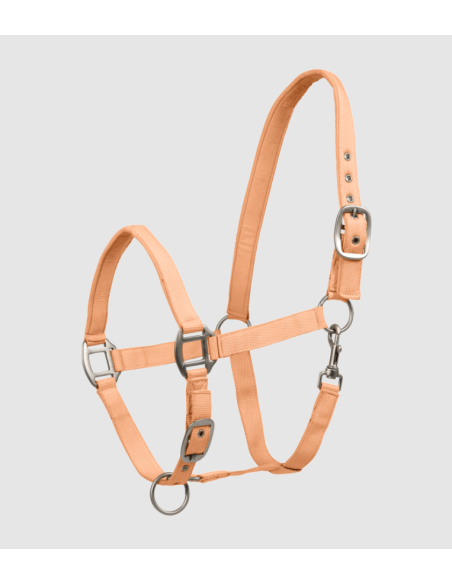 Licol Satin - Waldhausen