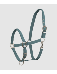 Licol Satin - Waldhausen 2