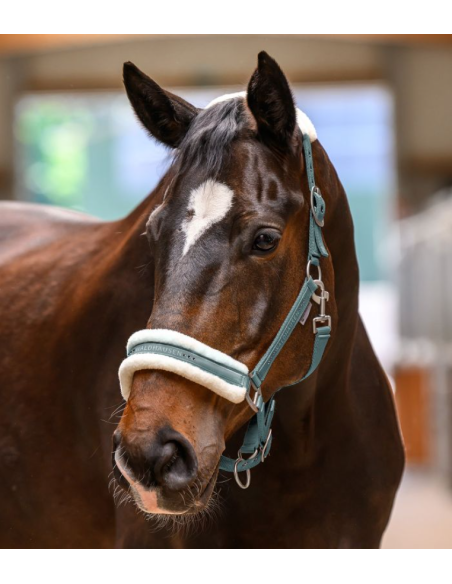 Licol Elegant - Waldhausen