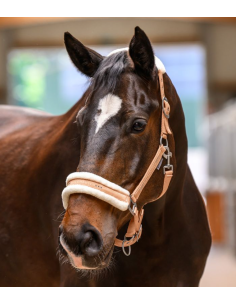 Licol Elegant - Waldhausen 2