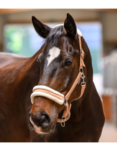 Licol Elegant - Waldhausen