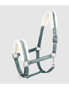 Licol Elegant - Waldhausen 2