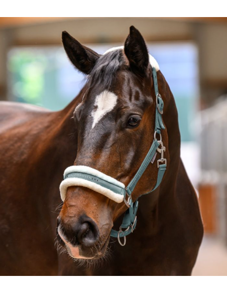 Licol Elegant - Waldhausen