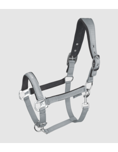 Licol Atheltic - Waldhausen