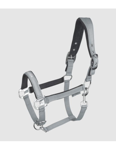 Licol Atheltic - Waldhausen