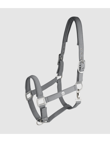 Licol Trinidad - Waldhausen