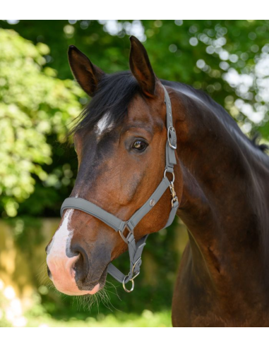 Licol Trinidad - Waldhausen