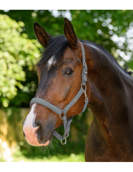 Licol Trinidad - Waldhausen