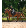 Tapis Dressage Breath Performance - Waldhausen