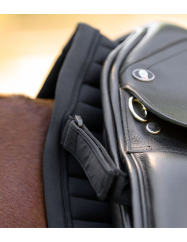 Tapis Dressage Trinidad - Waldhausen