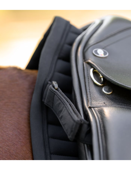 Tapis Dressage Trinidad - Waldhausen