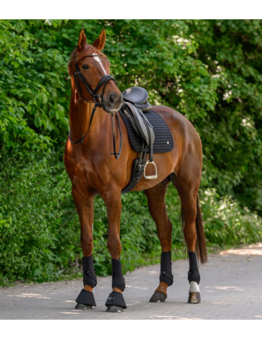 Tapis Dressage Trinidad - Waldhausen