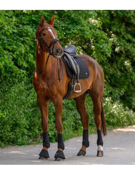 Tapis Dressage Trinidad - Waldhausen