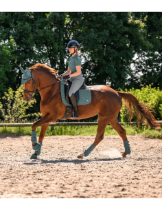Tapis Dressage Trinidad - Waldhausen 2