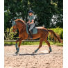 Tapis Dressage Trinidad - Waldhausen